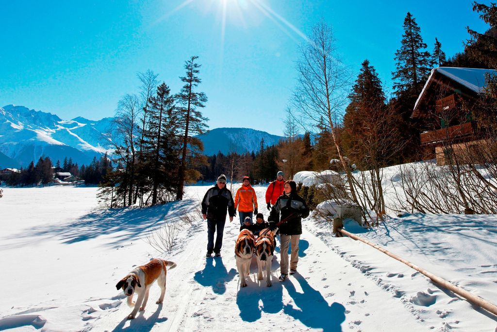 La Fondation Barry propose des balades en compagnie de chiens saint-bernard autour du lac enneigé de Champex.