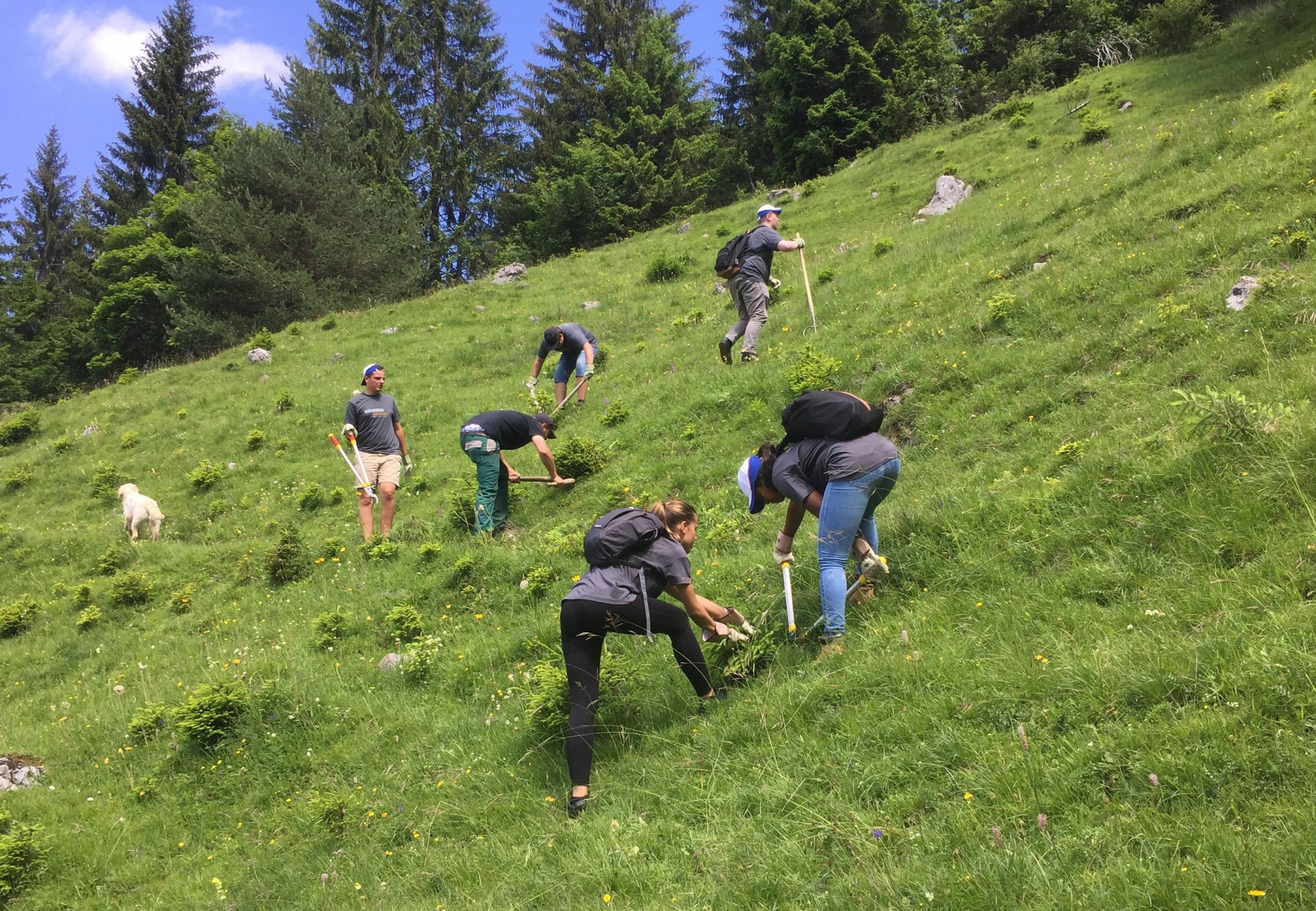 Pour lancer son projet «Alpage & Grimpe», le CAS Martigny s'est assuré de l'aide du Groupement suisse des régions de montagne (SAB) et de son programme «Volontaires montagne».