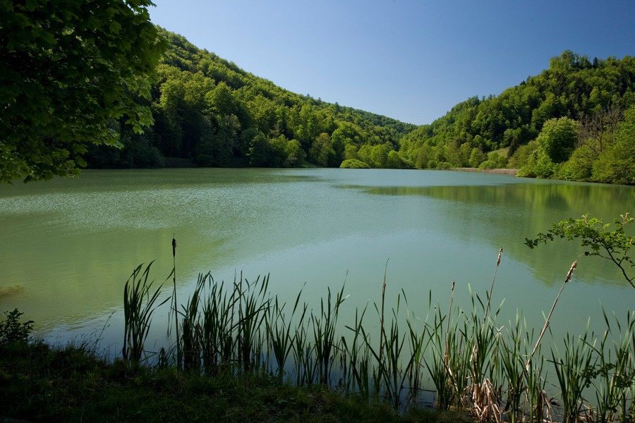 L'étang de Lucelle (Jura) à la belle saison.
