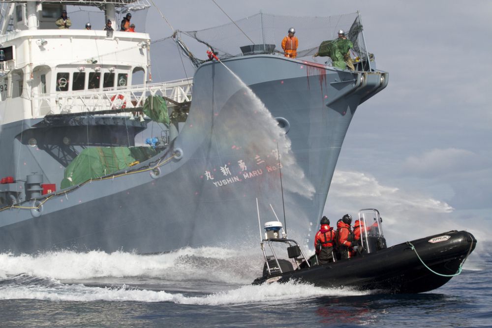 Sea Shepherd Conservation Society, the crew of the Japanese whaling ship Yushin Maru No. 3 aims its water cannon at the Sea Shepherd's inflatable boat during their encounter Friday, Feb. 4, 2011 in Southern Ocean, Antarctica. The anti-whaling activists was chasing the fleet in the hopes of interrupting Japan's annual whale hunt. (AP Photo/Sea Shepherd, Gary Stokes)  MANDATORY CREDIT, EDITORIAL USE ONLY