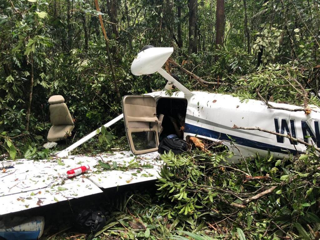 L'avion s'est abîmé en forêt pour une cause encore inconnue.