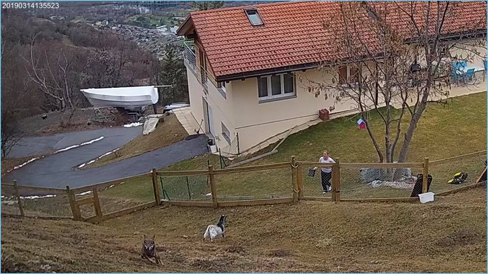 La photo, prise par une caméra de surveillance, montre le loup à quelques mètres du domicile de Patricia Couturier Arlettaz.