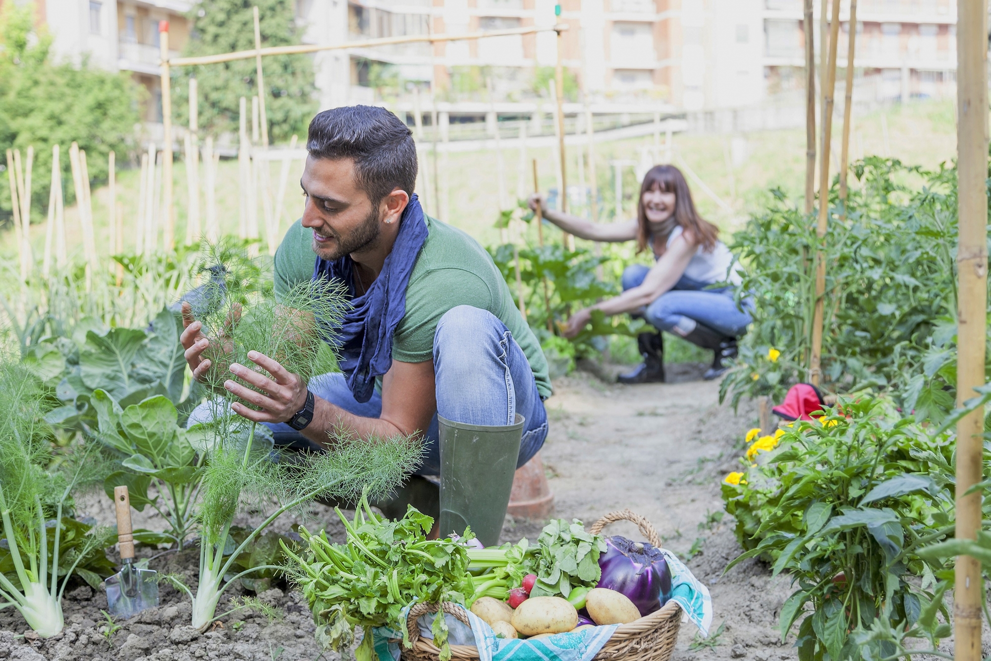 Une séance d'information sur les potagers urbains aura lieu mardi prochain à 19 h 30 à Soluna.