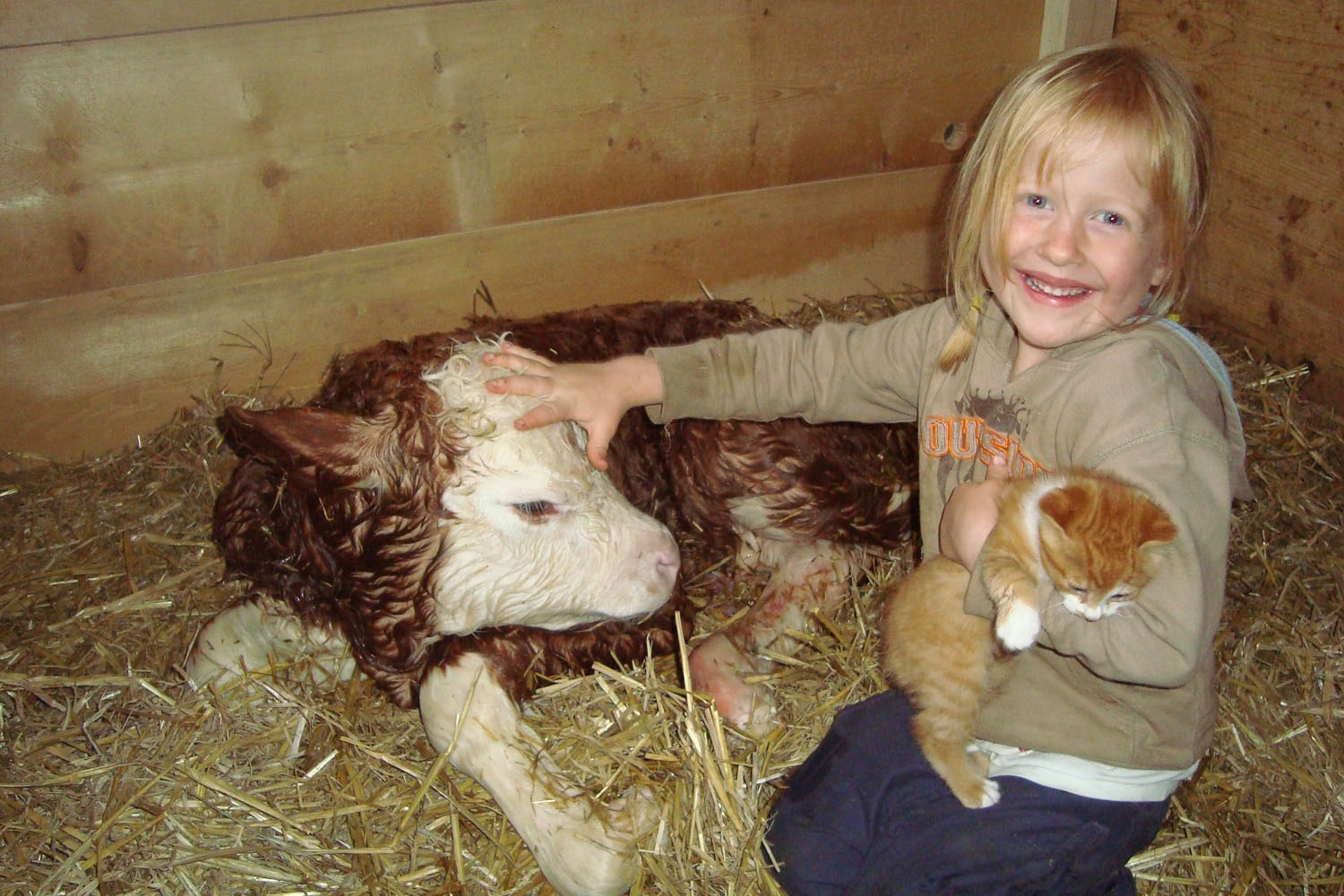 La Journée du lait va permettre aux plus jeunes de découvrir le quotidien d'une étable. En Valais aussi!