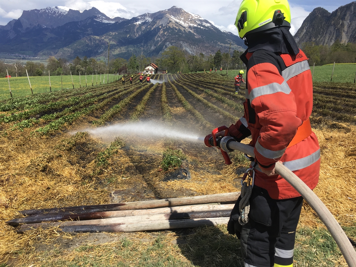 Les pompiers ont pu éteindre le sinistre au bout d'une heure.