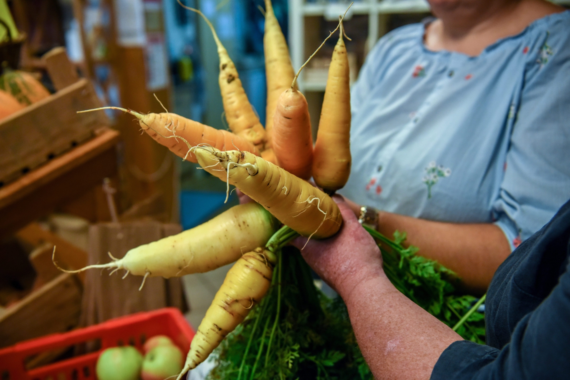 Les carottes jaunes du Doubs presentees par Priska Sprunger (dr) et Esther Queloz au Marche des paysannes.

SAIGNELEGIER 11/10/2018
Photo: Christian Galley



 MARCHE DES PAYSANNES SAIGNELEGIER