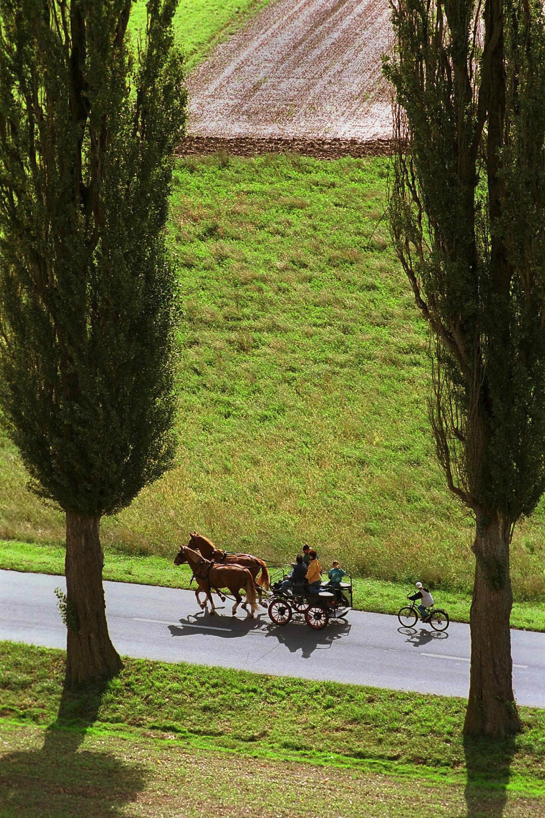 1e édition de "Slow up" dans le Seeland en 2000. Cycliste précédé par une calèche tirée par deux chevaux, sur la route entre Salavaux et Vallamand. Format en hauteur.

Cette manifestation conviviale organisée dans la perspective d'Expo.02 a réuni quelque 30'000 personnes qui ont bouclé en pédalant le tour du lac de Morat, délesté de son trafic motorisé.

Photo Lib./Alain Wicht; Lac de Morat et environs, 03.09.2000. 1e édition de "Slow up" dans le Seeland en 2000