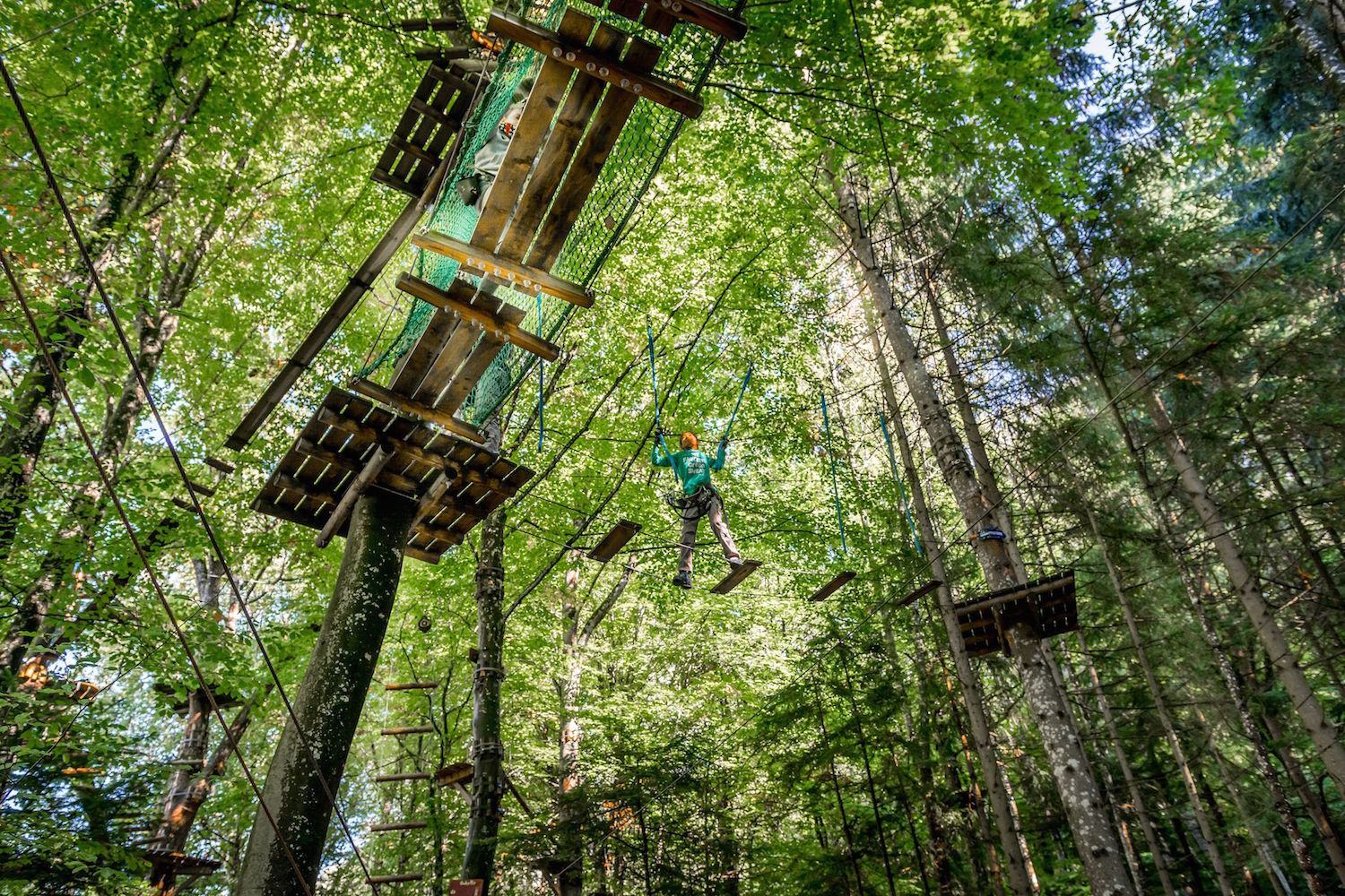 Les parcs accrobranches proposent leur lot d'attractions susceptibles de séduire petits et grands.