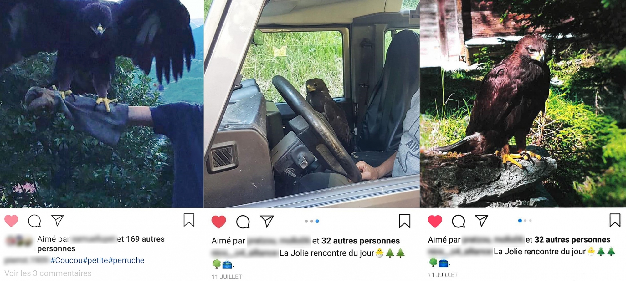 Ces photos ont été publiées sur les réseaux sociaux par des membres de l'entourage du garde-chasse, durant l'été 2018.