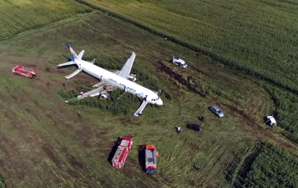 L'avion a effectué jeudi un atterrissage d'urgence spectaculaire dans un champ de maïs avec 233 personnes à son bord, après avoir percuté une volée d'oiseaux.
