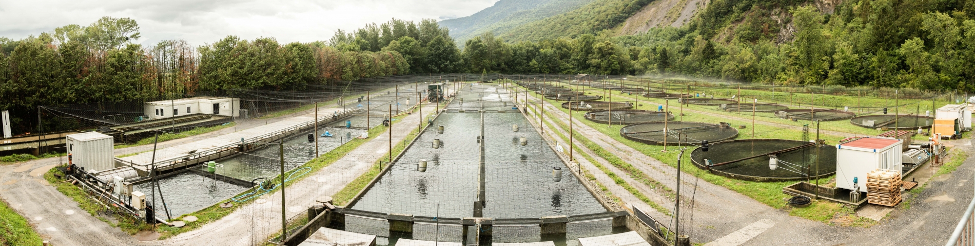 La pisciculture de Vionnaz va couvrir l'essentiel de ses besoins en électricité grâce à sa centrale solaire.