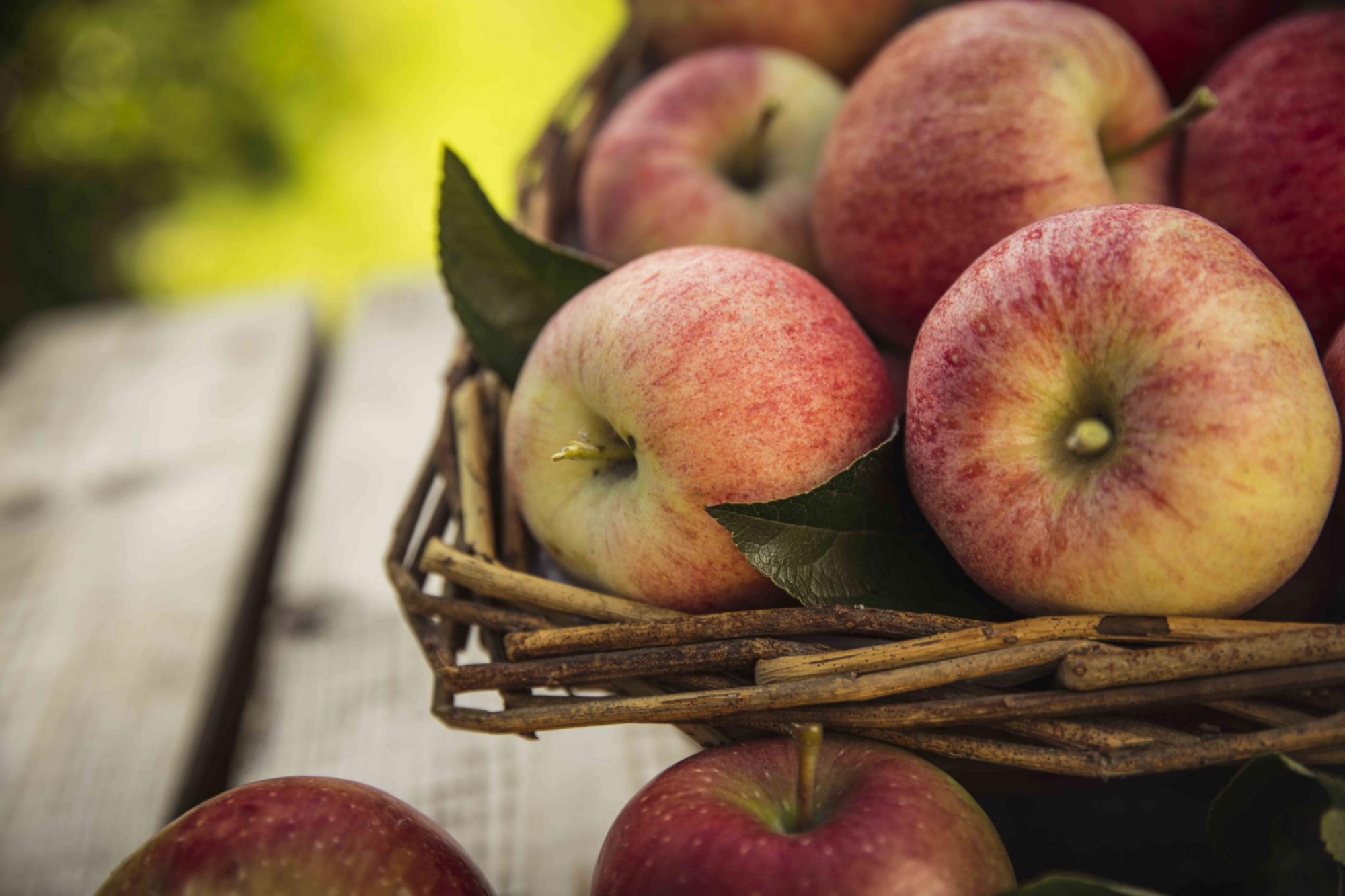 Entre attaques de grêle et pression sur les prix, la pomme valaisanne vit des heures délicates. Mais les producteurs de ce canton veulent croire en des jours meilleurs.