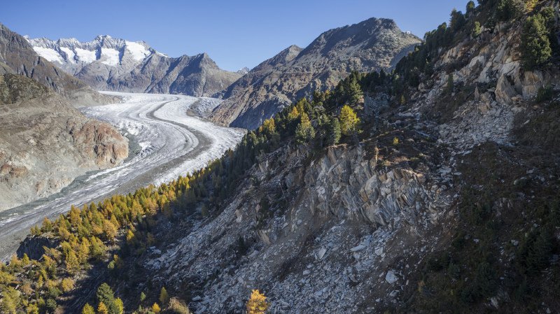 Le glacier d'Aletsch est surveillé quotidiennement. En cause, l'instabilité des pentes situées sur sa rive gauche.