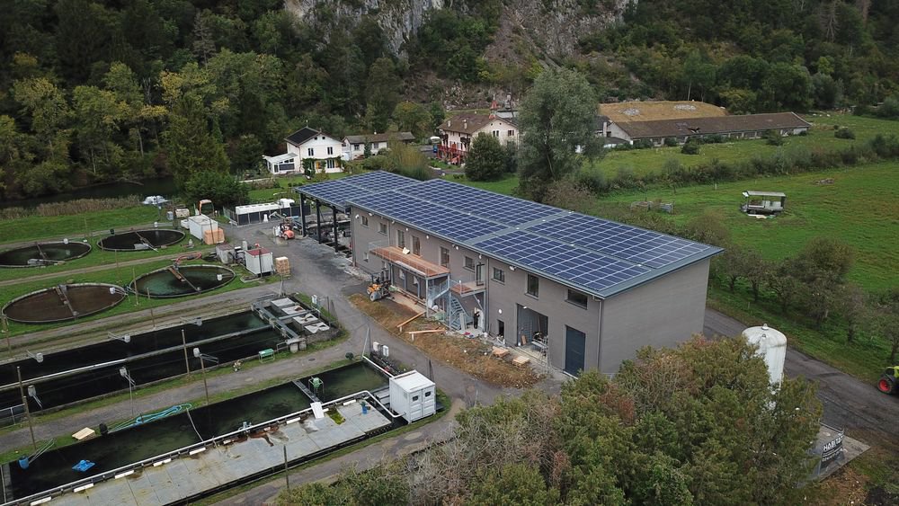 Le nouveau bâtiment de la pisciculture de Vionnaz et sa centrale photovoltaïque.