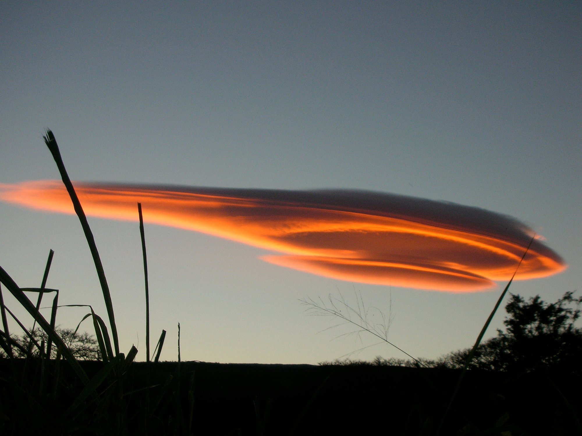 Avec leurs formes d'assiettes arrondies, les nuages lenticulaires sont régulièrement pris pour des soucoupes volantes, raconte l'astronome Michaël Cottier.