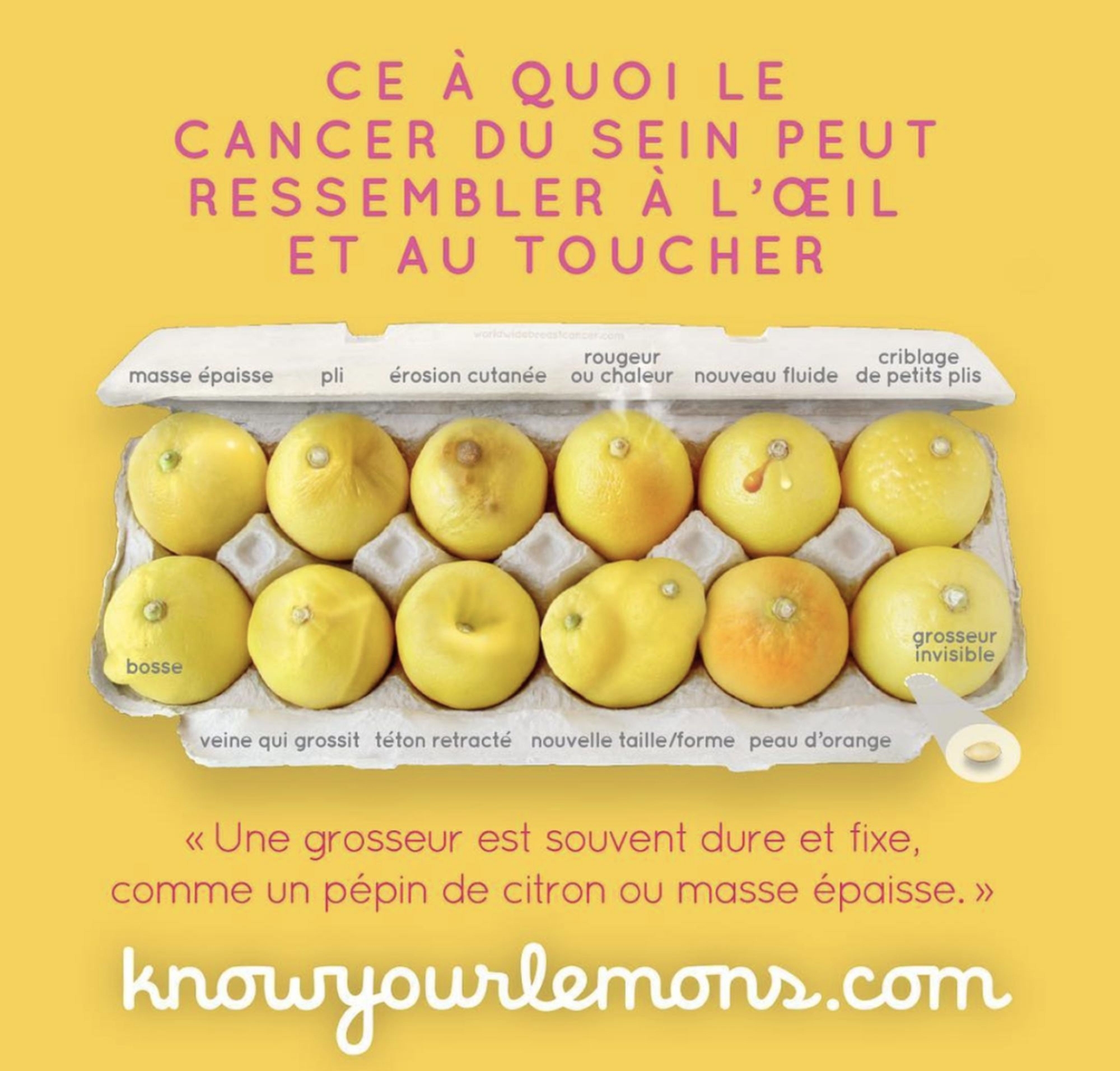 La campagne "Know your lemons" avait fait sensation en indiquant, avec des fruits, les signes qui peuvent annoncer un cancer du sein.
