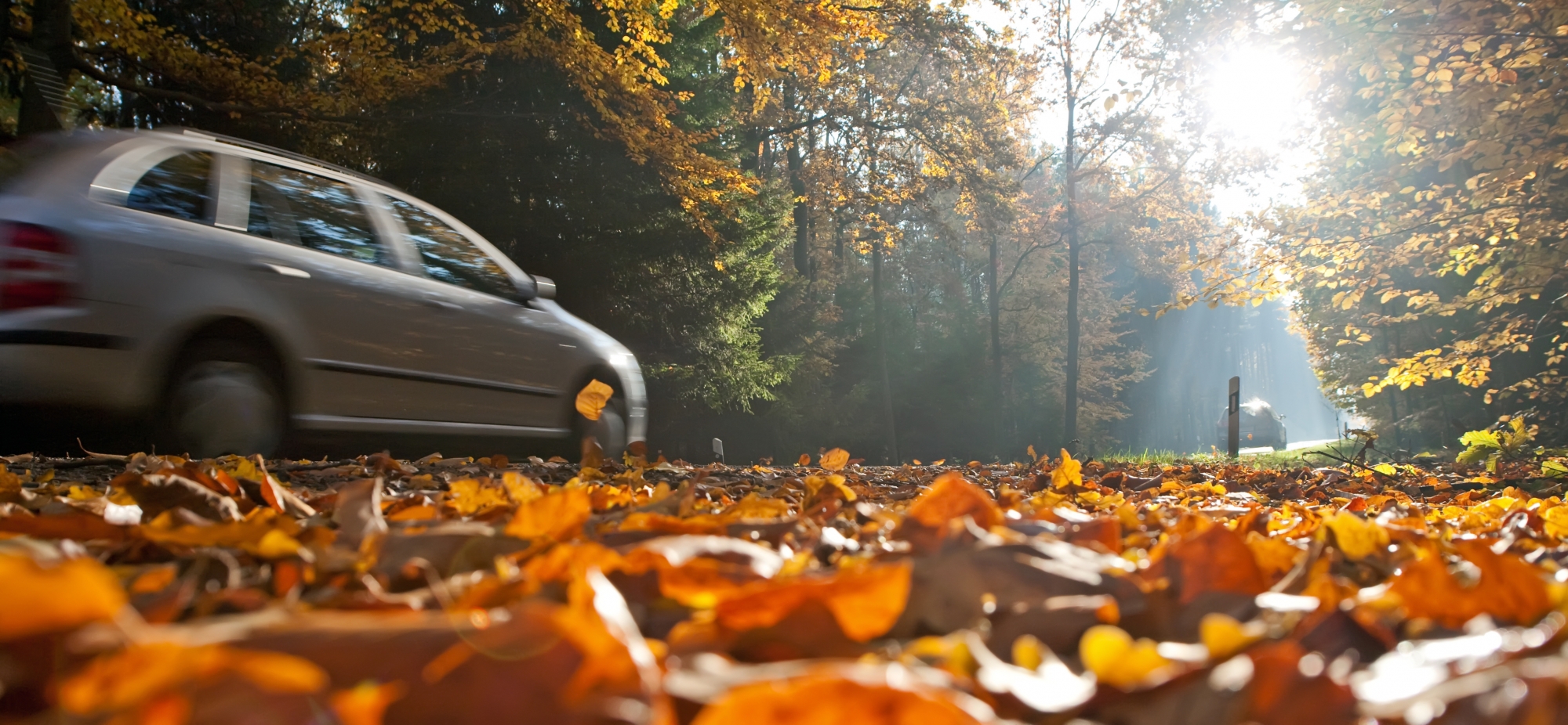 L'automne est une saison particulièrement risquée pour les automobilistes. (Illustration)