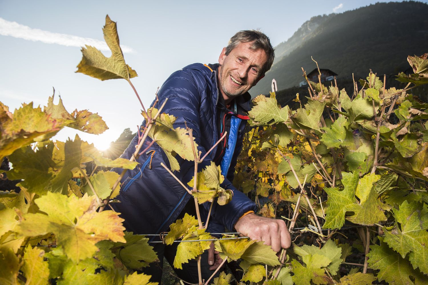 Dominique Luisier travaille 4 hectares de vignes sur Saillon. C'est son père, Pierre, qui a créé la cave en 1983.