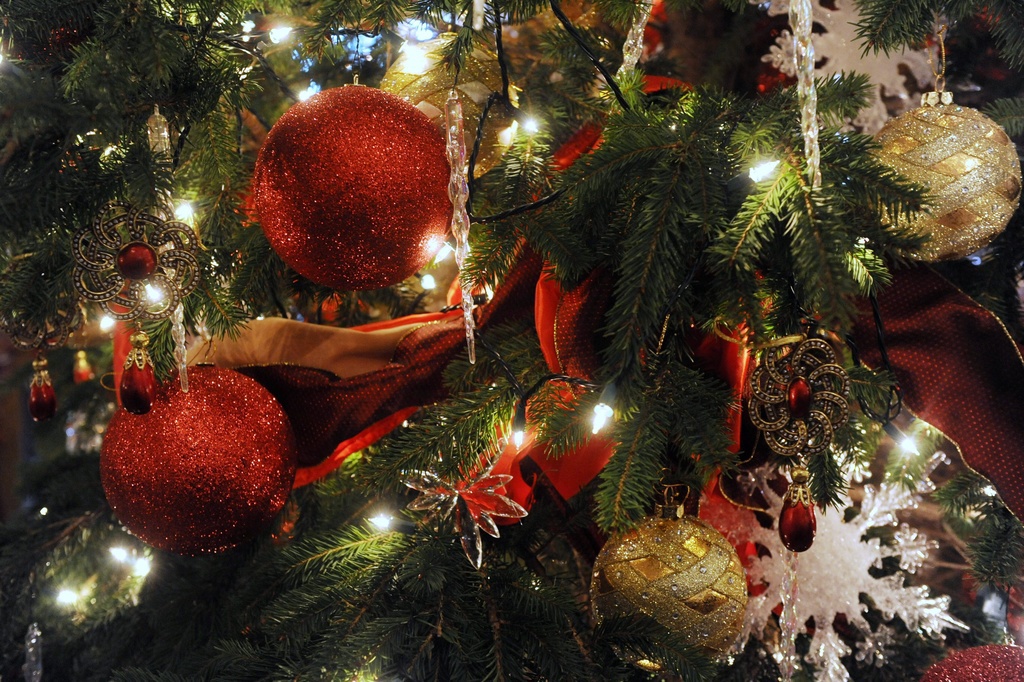 Un sapin de Noël peut cacher de nombreux invités surprises. (illustration)