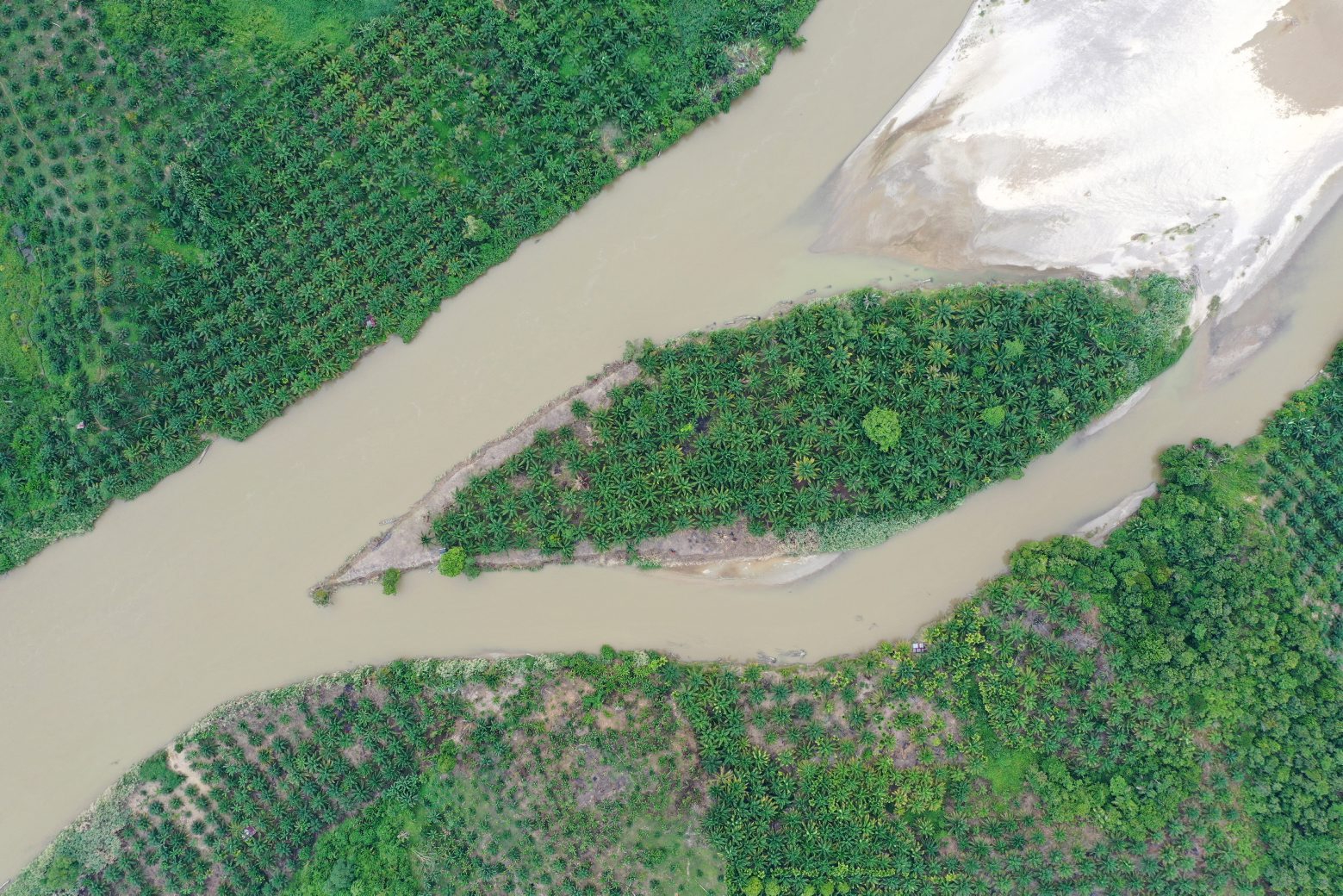epa07747197 A photograph taken with a drone shows oil palm plantations, in Bawa village, Subulusalam, Aceh, Indonesia, 27 July 2019 (issued 29 July 2019). Indonesia is the world's largest producer of palm oil, made from the pulp of the palm fruit. It is widely used cooking and the commercial food industry. Many palm plantations have contributed to the deforestation of tropical rainforest, causing the death and displacements of many species, among them the critically endangered orangutan and Sumatran elephant.  EPA/HOTLI SIMANJUNTAK INDONESIA ACEH PALM OIL DEFORESTATION