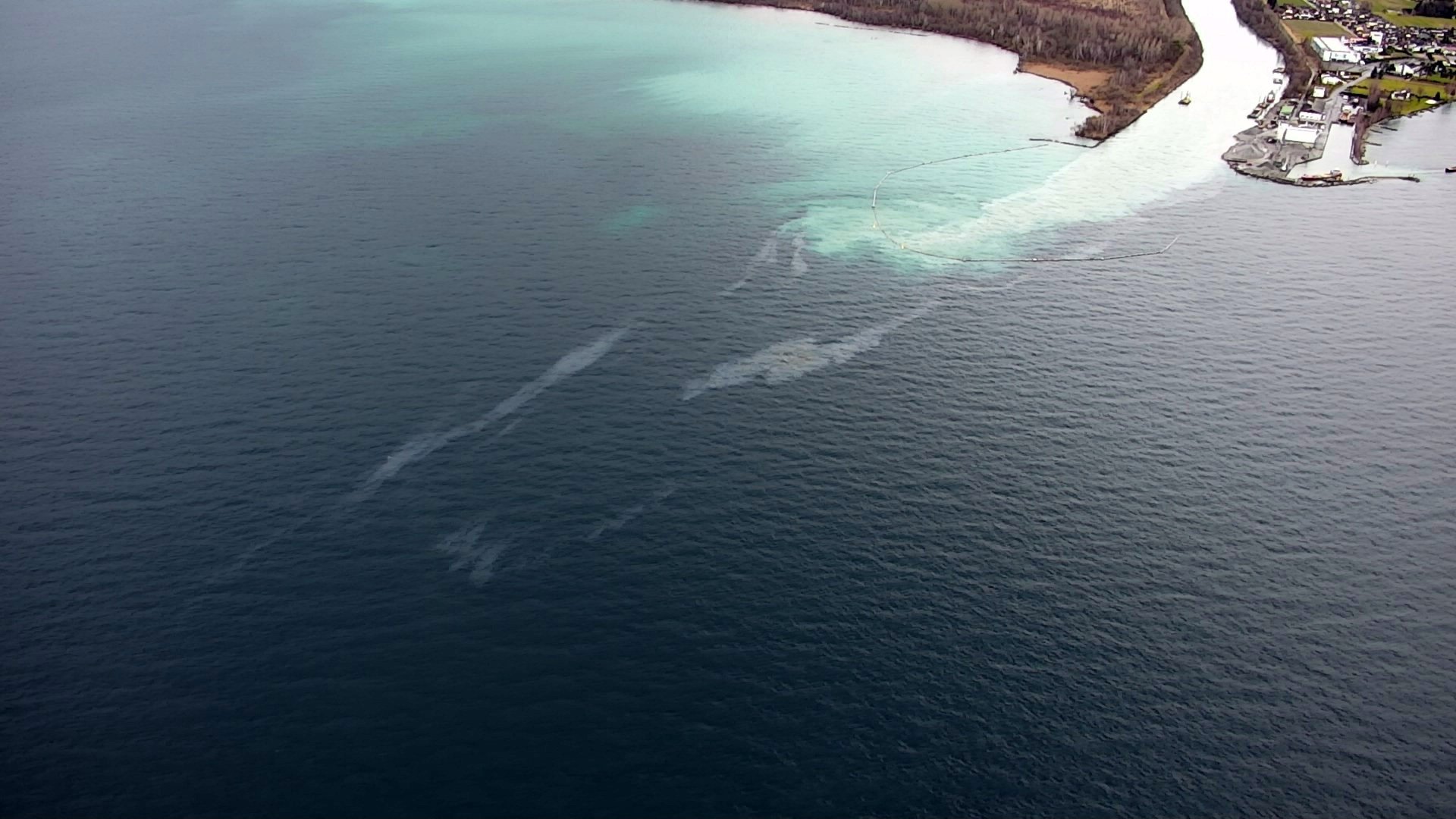 Venus du Rhône, les hydrocarbures se sont répandus dans le lac.