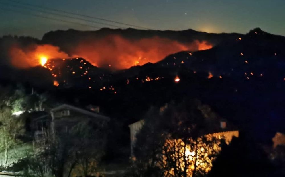L'incendie s'est déclenché mardi à l'aube sur la commune de Quenza en Corse-du-Sud, dans une forêt de pins maritimes.