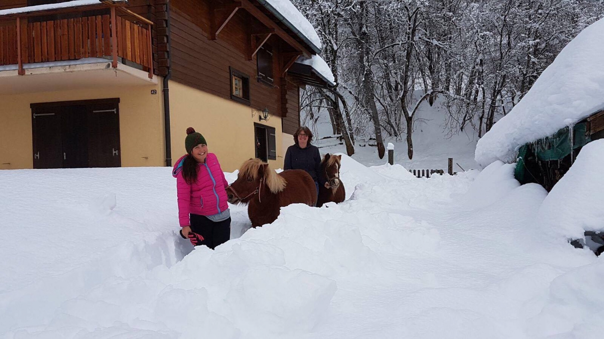 A Ovronnaz, les poneys ne craignent pas la neige et accueillent les enfants pour des sorties chaque vendredi.
