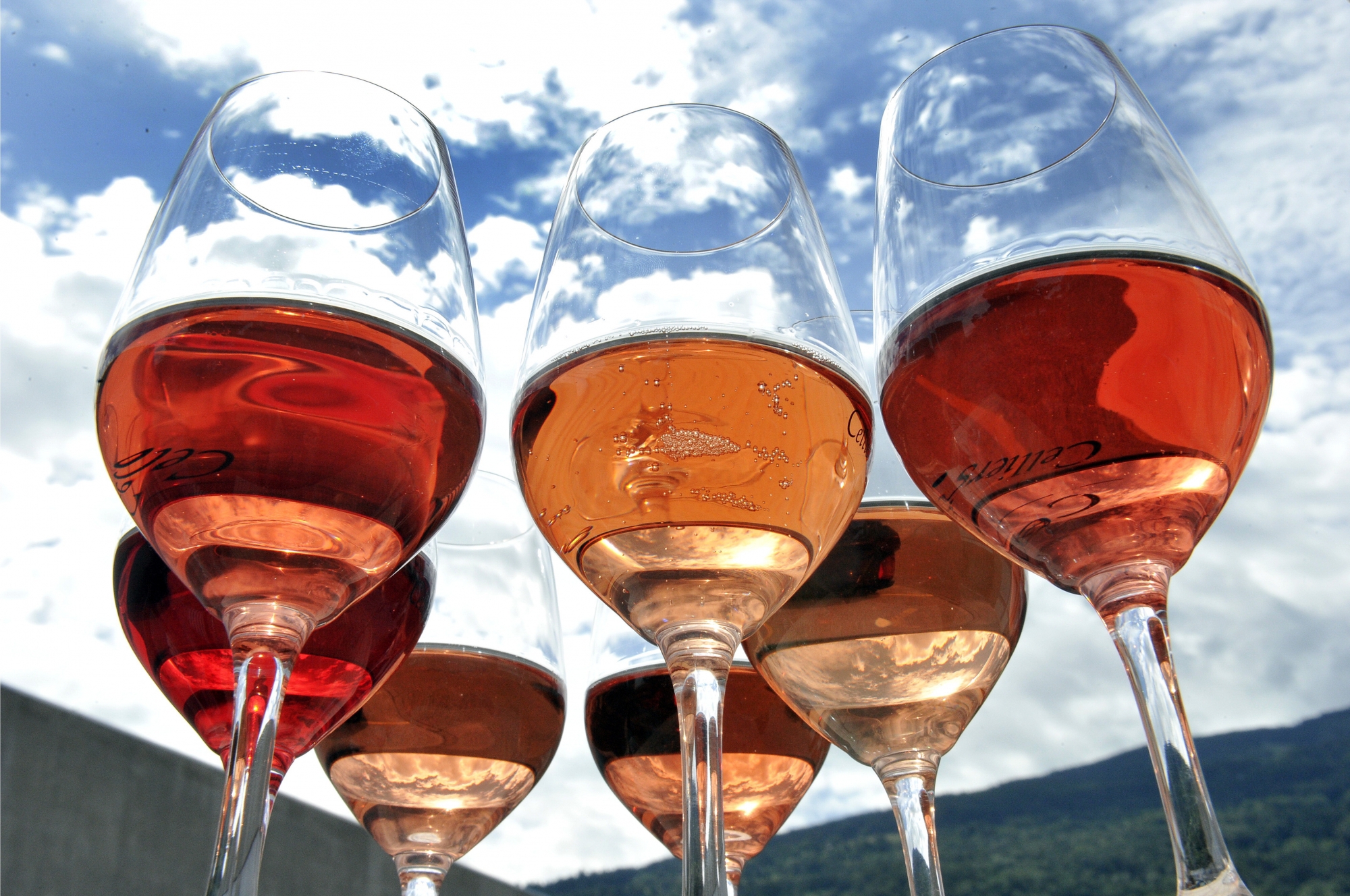 Le Valais peut offrir une belle diversité de rosés. Dans les goûts et les couleurs.