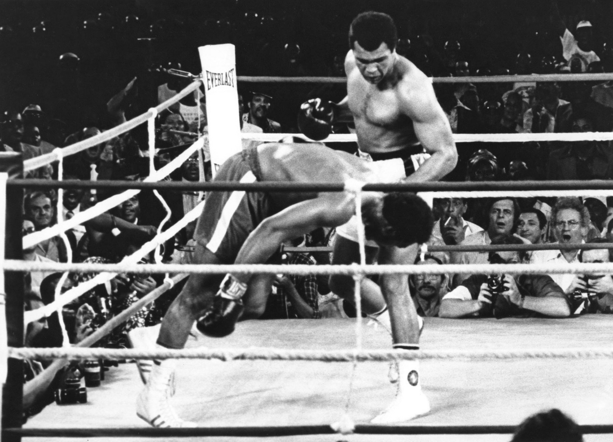 Muhamed Ali regarde George Foreman s'effondrer au huitième round de leur combat disputé à Kinshasa le 30 octobre 1974.