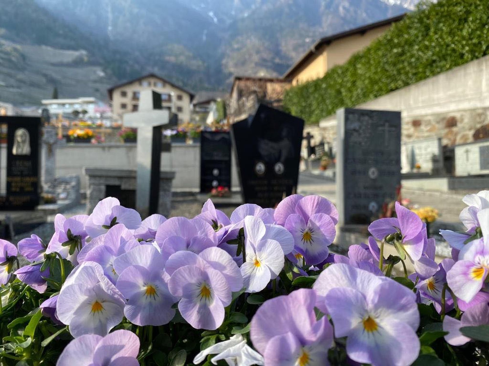 Le cimetière de Fully a retrouvé des couleurs grâce aux nombreuses fleurs livrées gracieusement.