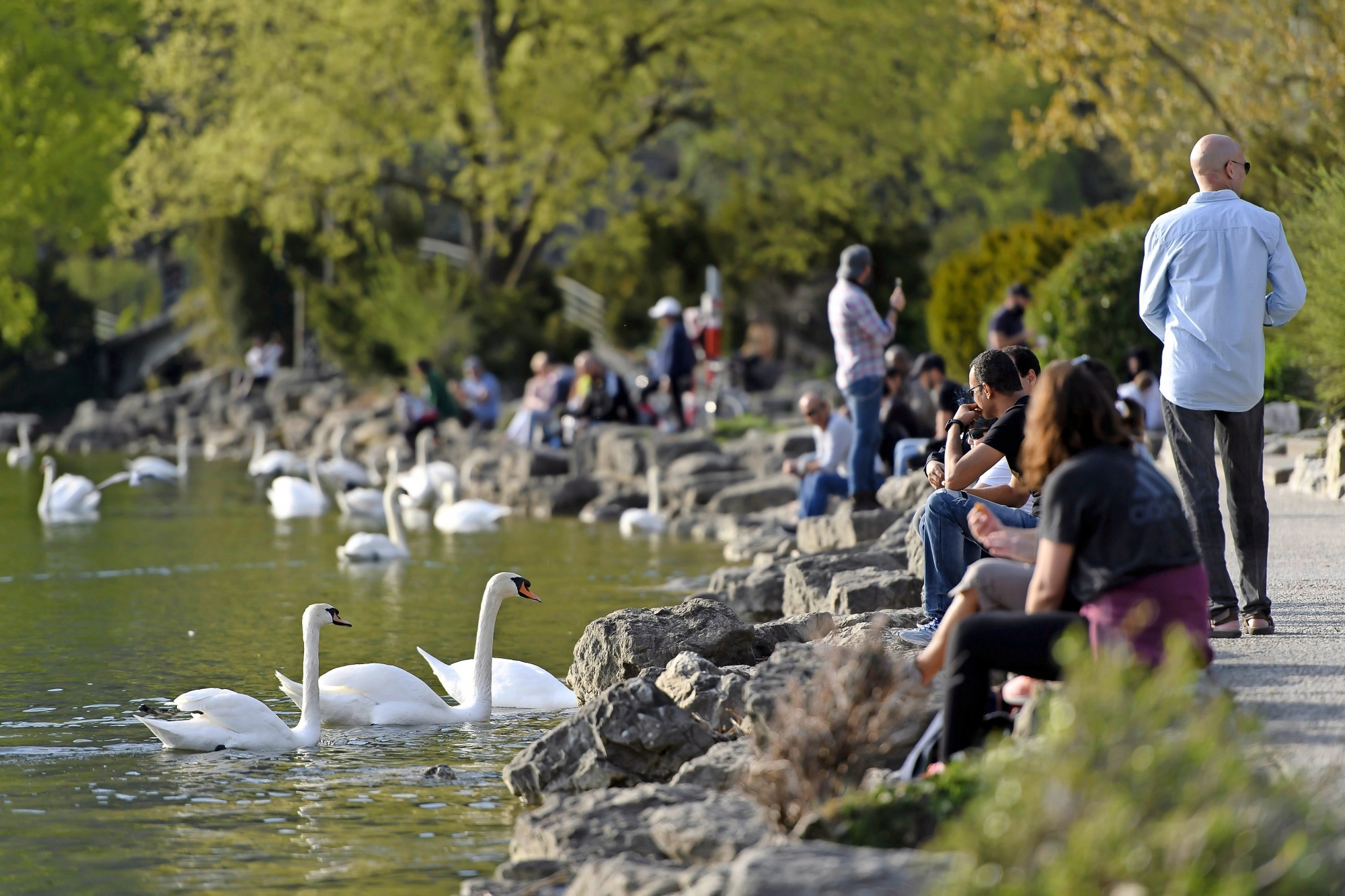 People enjoy the sun on the shore of Lake Biel during the state of emergency of the coronavirus disease (COVID-19) outbreak, in Biel, Switzerland, Monday, April 13, 2020. Countries around the world are taking increased measures to stem the widespread of the SARS-CoV-2 coronavirus, which causes the Covid-19 disease. (KEYSTONE/Anthony Anex) SWITZERLAND CORONAVIRUS OUTBREAK
