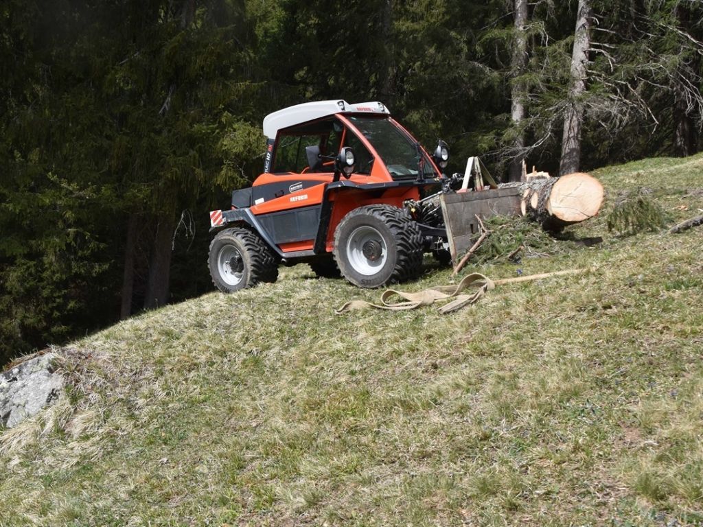 Un agriculteur de 56 a été coincé par le tronc d'un  sapin près de Klosters (GR). Il est décédé sur place.