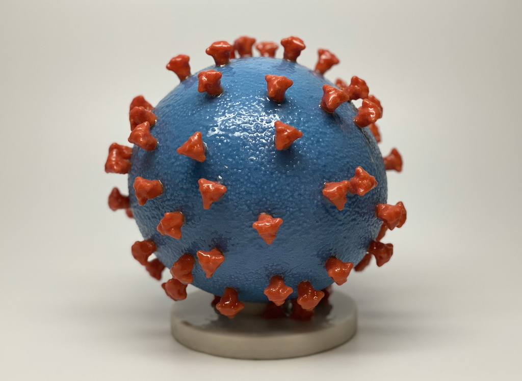 L'étude a été menée sur 160 patients atteints de formes mineurs du coronavirus. (Illustration)