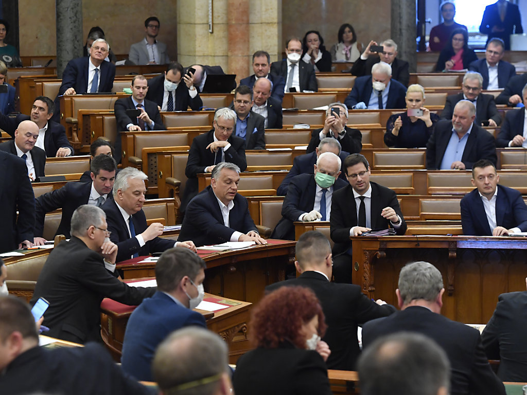 Le parlement hongrois a  interdit l'inscription du changement de sexe à l'état civil et la reconnaissance juridique de l'identité de genre des personnes transgenres (archives).