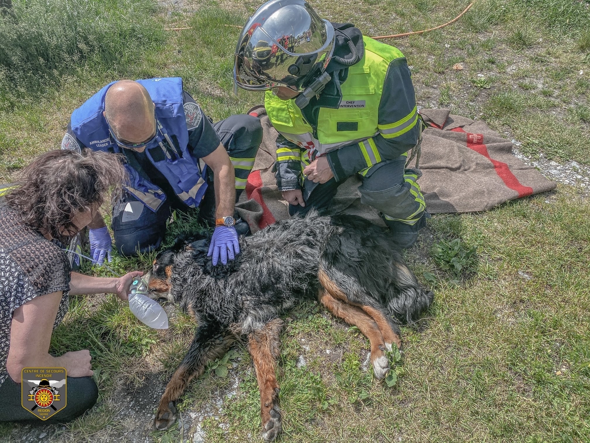 Sauvé du feu, le chien Spyke a été réanimé sur place par les sapeurs-pompiers et les ambulanciers.