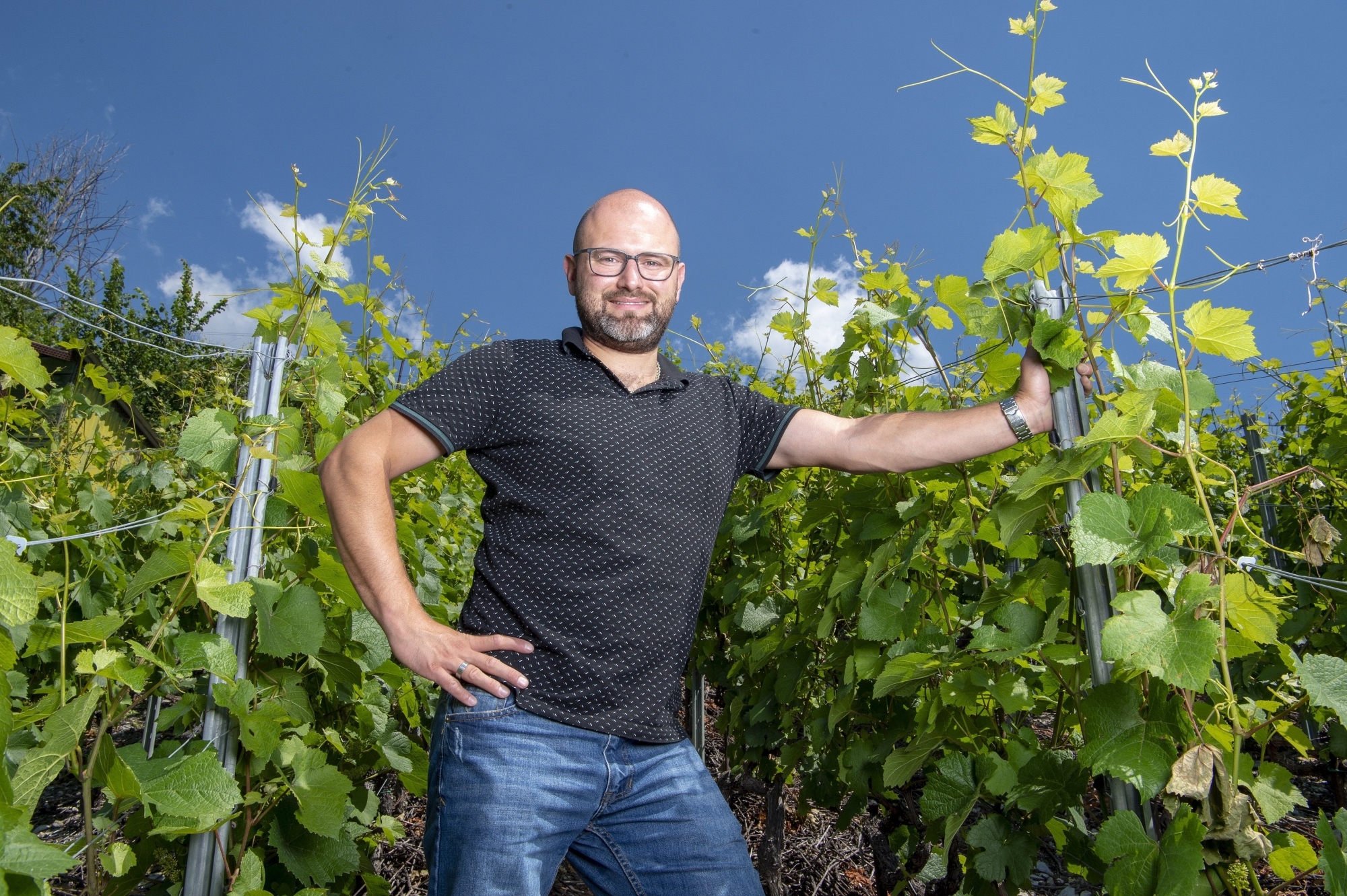 Julien Fournier vinifie ses vins avec rigueur. «Il faut de beaux raisins pour élaborer de grands vins. Je ne collabore qu’avec des gens dont la vigne est le métier.»