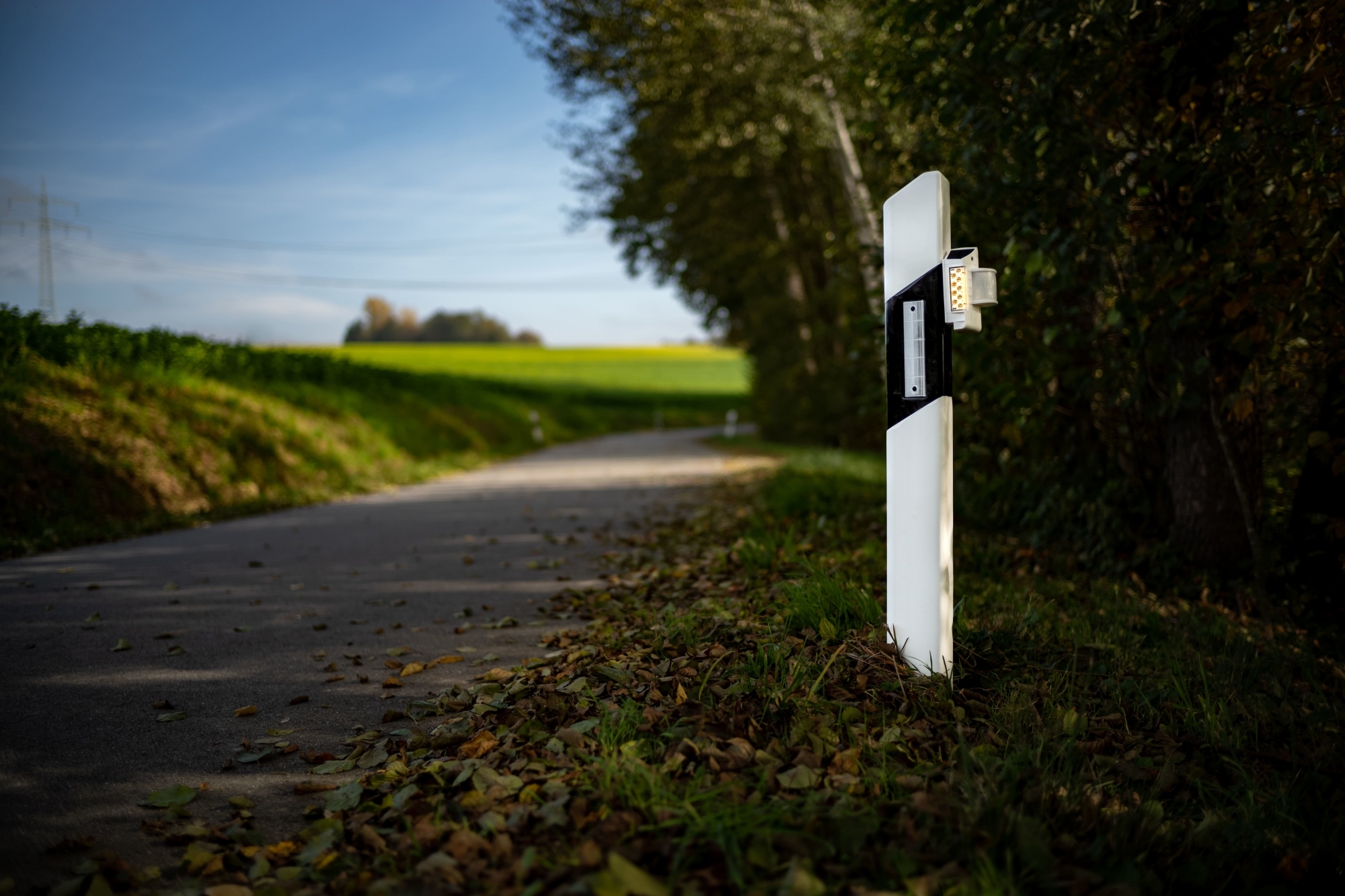 Le système avertit l'automobiliste dès qu'un animal s'approche de la route.