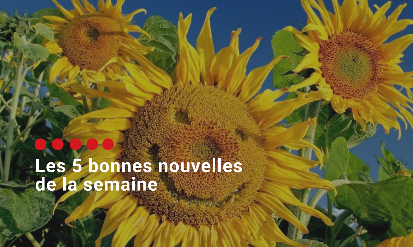 Cinq bonnes nouvelles pour retrouver la bonne humeur avant le week-end!