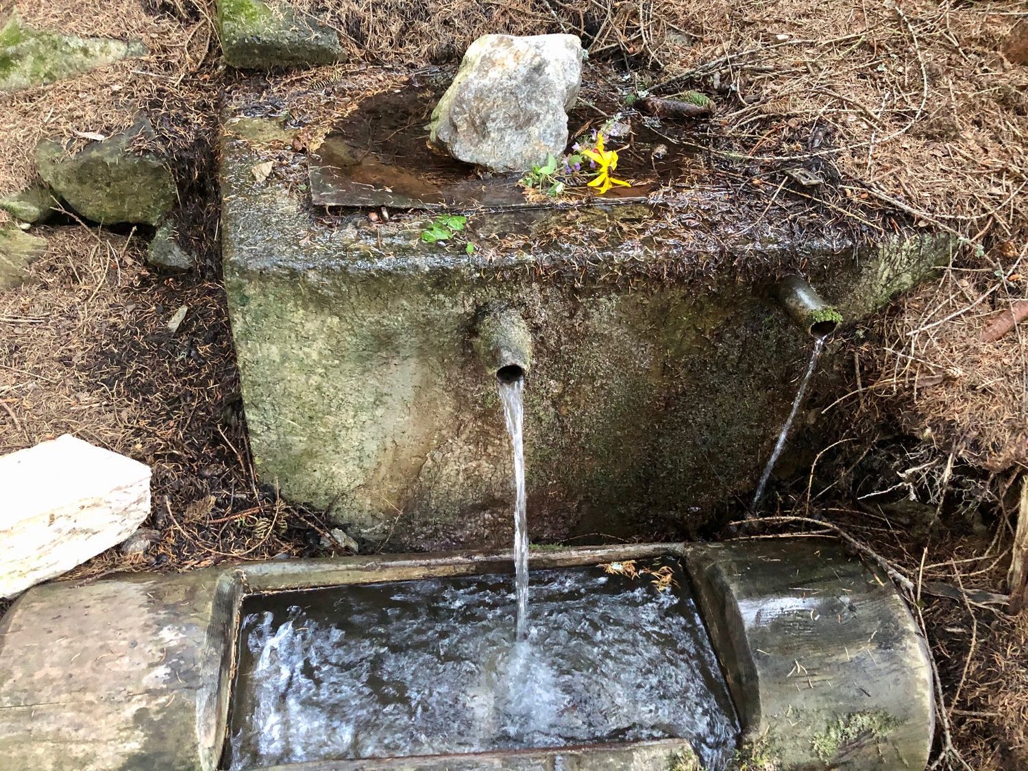 Que ce soit pour l'élaboration d'une bière, du pain, pour perdre quelques kilos ou pour le simple plaisir de sa fraîcheur, l'eau d'Embrun attise la curiosité de chacun.