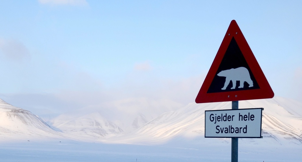 L'incident s'est produit dans la nuit dans un camping près de Longyearbyen, le chef-lieu de ce territoire, à environ 1300 km du pôle Nord. (illustration)