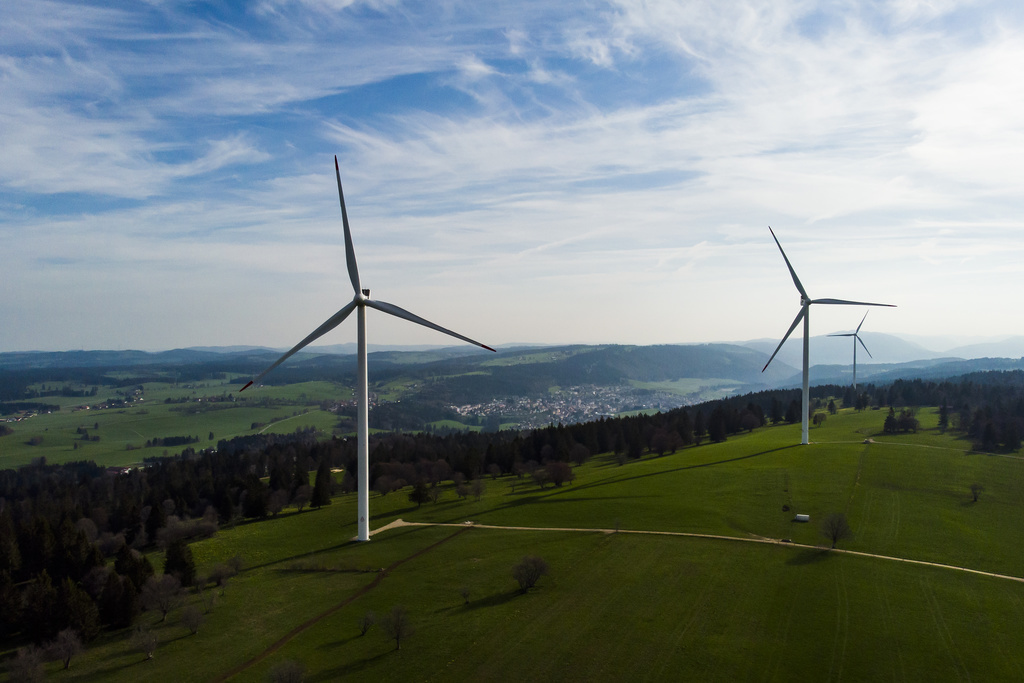 Les éoliennes causent chaque année la mort de nombreux oiseaux (illustration).