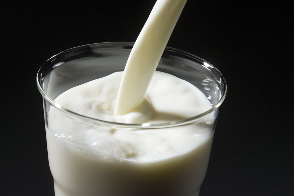 Actuellement en Suisse, environ 80% des adultes supportent le lait.