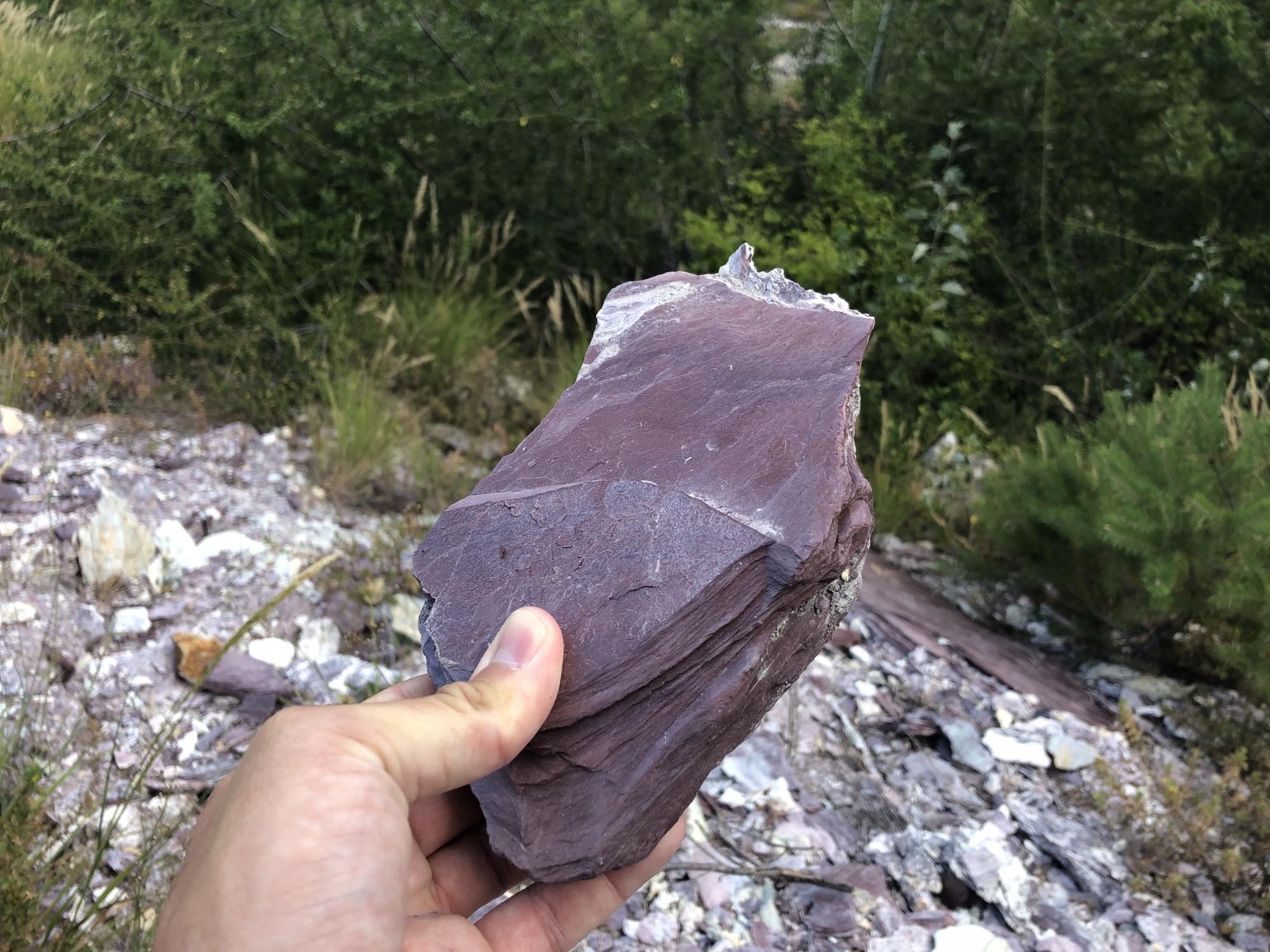 Depuis l’ouverture du chemin des Contrées, il y a une année, la présence de roches violettes dans le secteur du Boup de Montana interpelle de nombreux randonneurs.